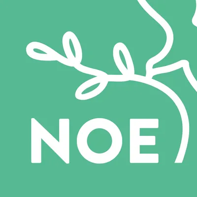 Logo for TV NOE