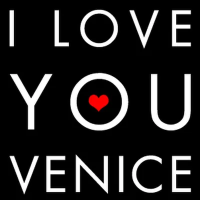 Logo for Venice Rialto Bridge Venice